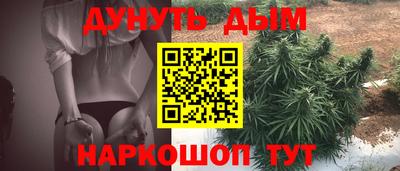 сатива Будённовск