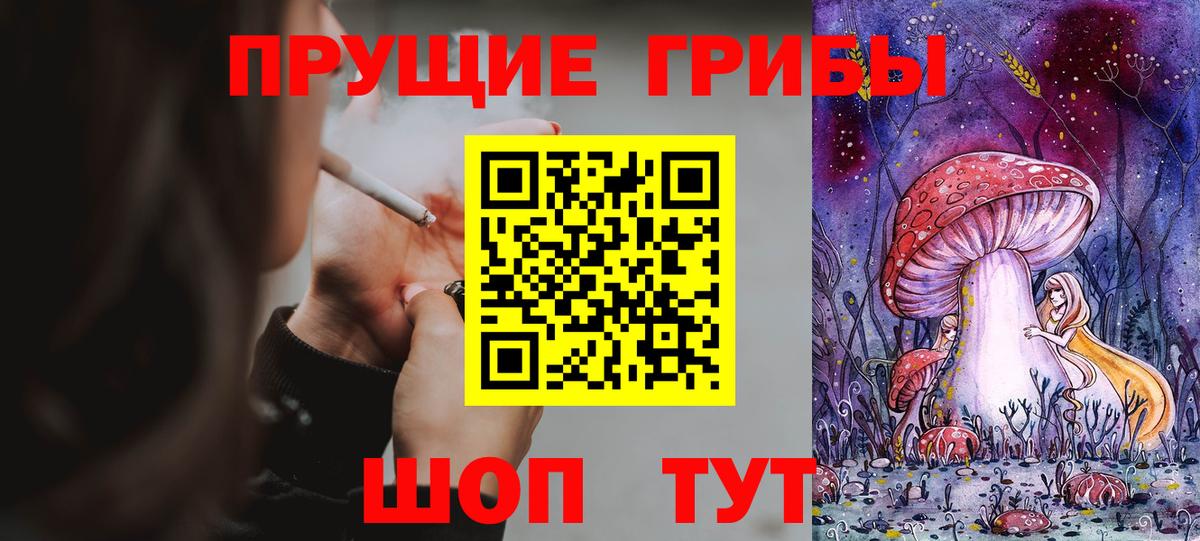 Галлюциногенные грибы Psilocybine cubensis  Псилоцибиновые грибы мухоморы  Вход с VPN  Северобайкальск 