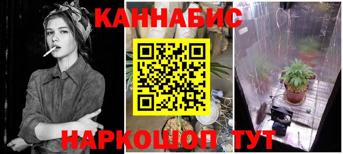 Конопля Bruce Banner  Канабис план  Северобайкальск  Вход с VPN 